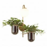 Бра Odeon Light Flower 4682/1W фото Бра Odeon Light Flower 4682/1W