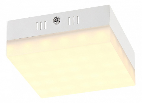 Светильник настенно-потолочный Merula  Globo. Фото №1