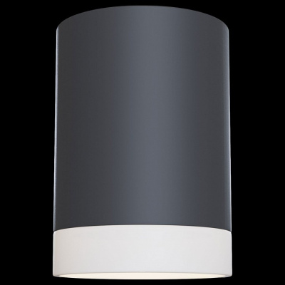 Накладной светильник Maytoni Pauline C008CW-01B. Фото №2