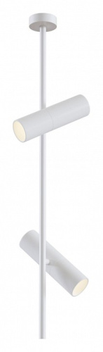 Светильник на штанге Maytoni Elti C021CL-02W. Фото №1