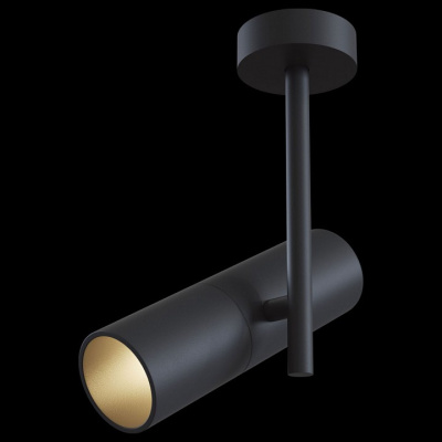Светильник на штанге Maytoni Elti C020CL-01B. Фото №2