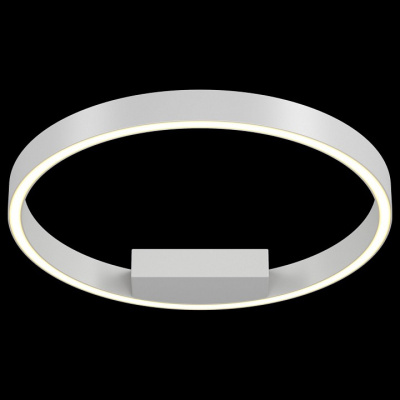 Накладной светильник Maytoni Rim MOD058CL-L25W4K. Фото №2