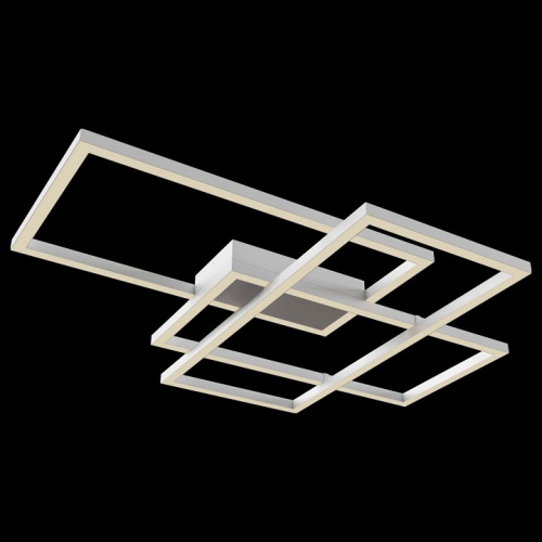 Накладной светильник Maytoni Rida MOD015CL-L80W. Фото №2